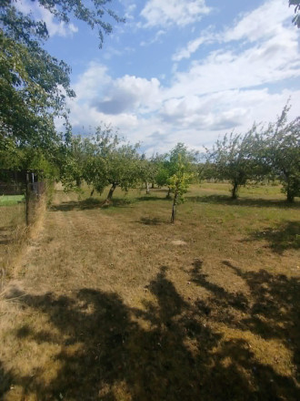 Pozemok s rodinným domom o výmere 3 671 m² v obci Jelenec - fotografia 2