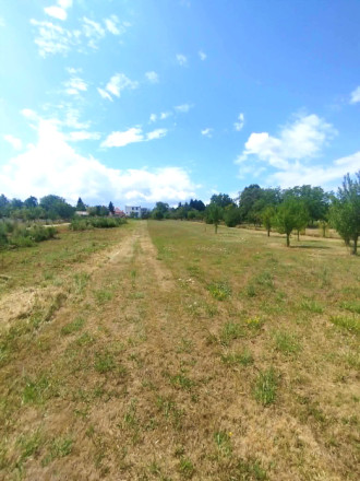 Pozemok s rodinným domom o výmere 3 671 m² v obci Jelenec - fotografia 4