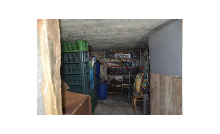 Pozemok s rodinným domom o výmere 3 671 m² v obci Jelenec - fotografia 10