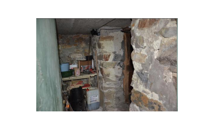 Pozemok s rodinným domom o výmere 3 671 m² v obci Jelenec - fotografia 11