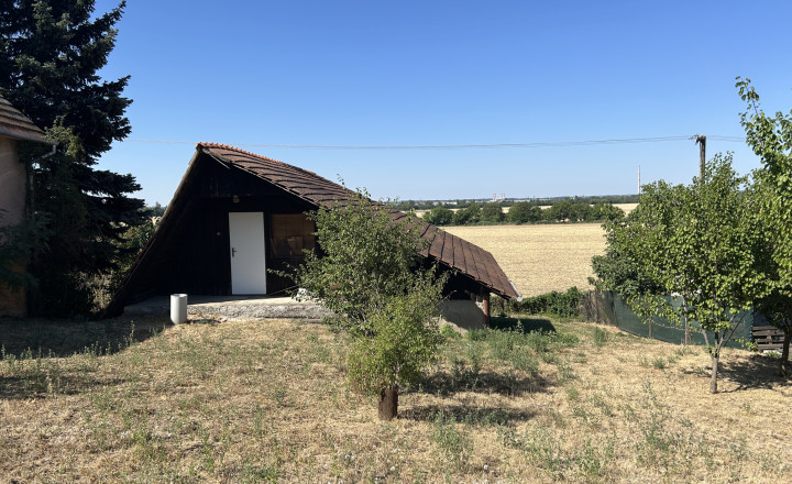 Predaj, Chata,  viničný dom, vinica   LEVICE 121-13-MIJK - fotografia 2