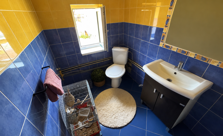 Polyfunkčná budova s bývaním a podnikaním – Lokca - fotografia 12