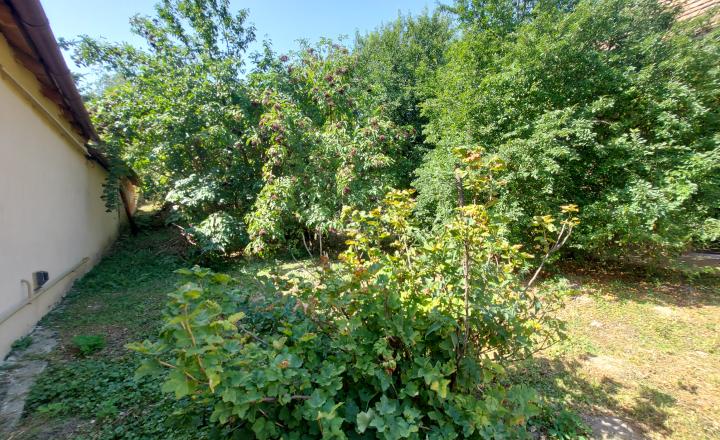 REZERVOVANÉ - Predaj starší rodinný dom - Lukáčovce pri Nitre(253-12-JUF) - fotografia 17