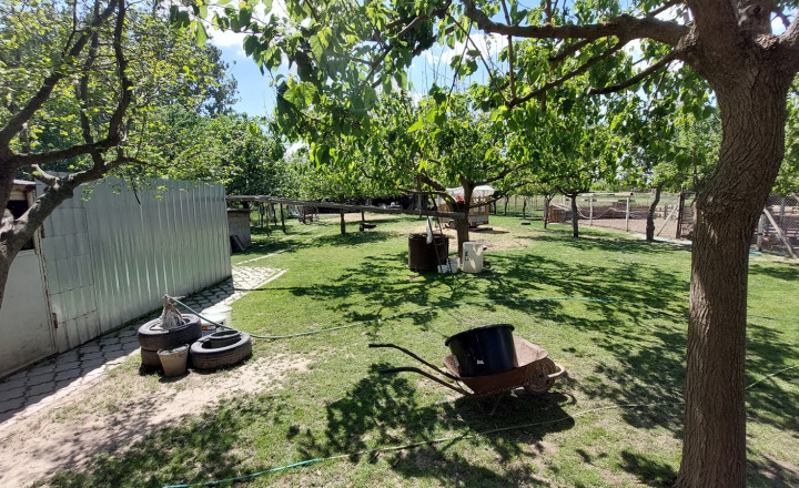 Na predaj rodinný dom v obci Krtovce ID 232-12-LUGUE - fotografia 15