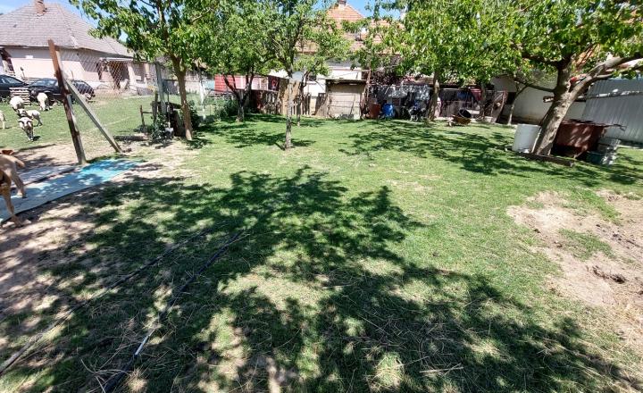 Na predaj rodinný dom v obci Krtovce ID 232-12-LUGUE - fotografia 19