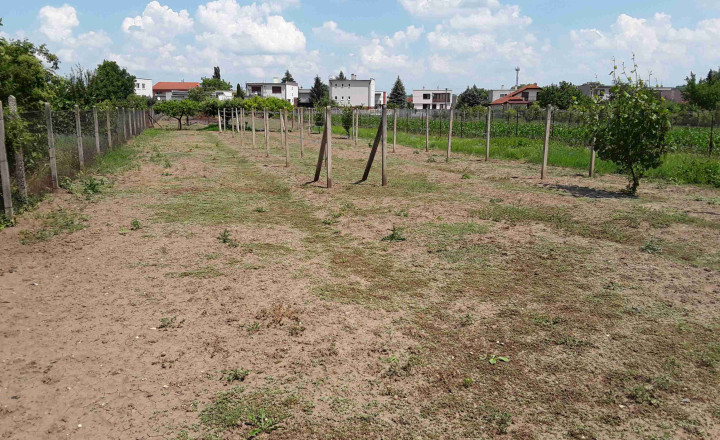Predaj rodinný dom, veľký pozemok, obec Veľký Kýr  (1069-12-RP) - fotografia 3