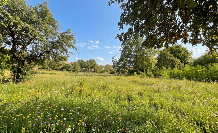 Investičný rozľahlý pozemok 3239 m2, Dudince-Merovce - fotografia 3