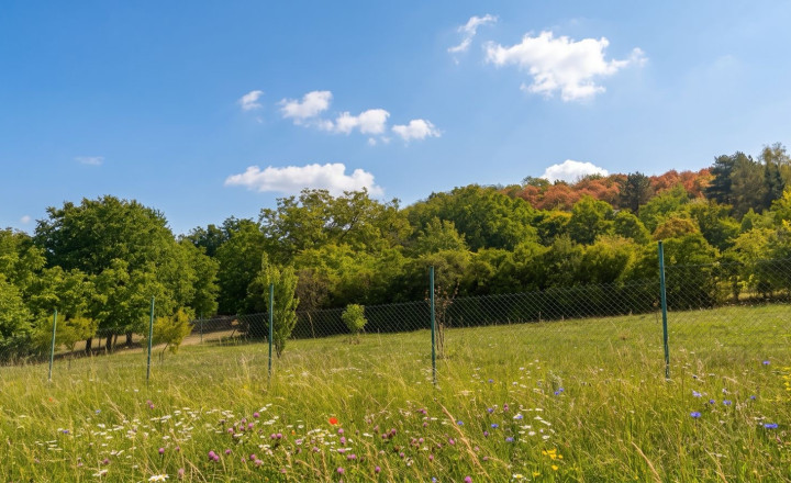 Investičný rozľahlý pozemok 3239 m2, Dudince-Merovce - fotografia 5