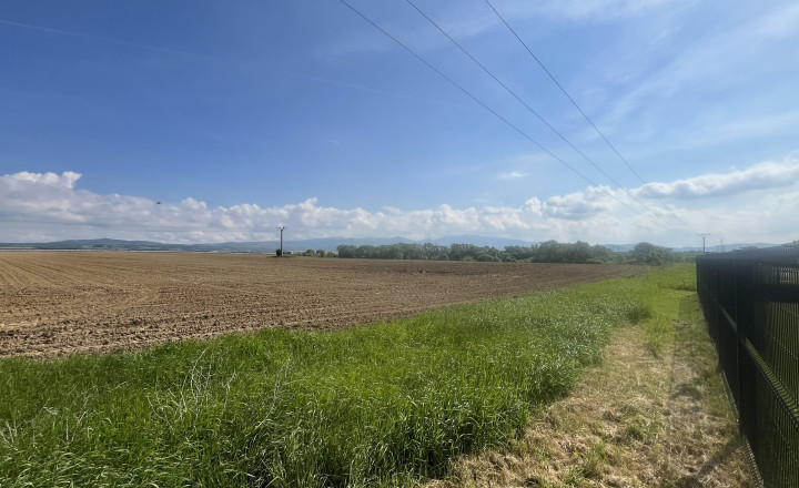 Invevstičný, rovinatý pozemok 5002 m2, Zvolenská Slatina 3D - fotografia 5