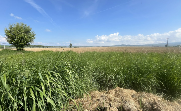 Invevstičný, rovinatý pozemok 5002 m2, Zvolenská Slatina 3D - fotografia 8