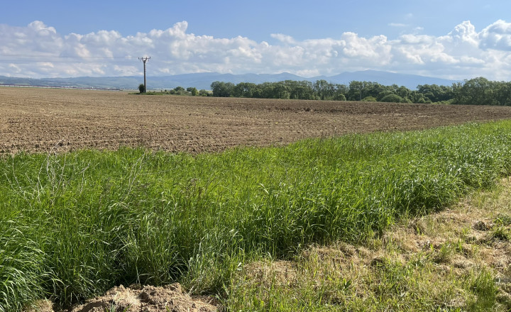 Invevstičný, rovinatý pozemok 5002 m2, Zvolenská Slatina 3D - fotografia 9