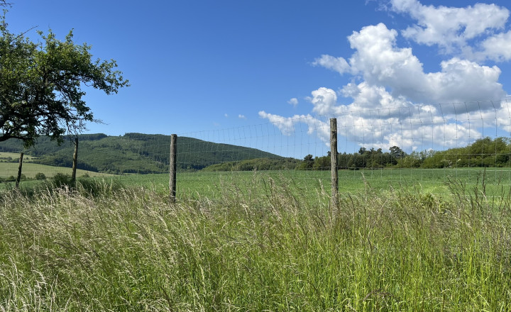 Rovinaté pozemky 7700m2 Sása, Zvolen - fotografia 1