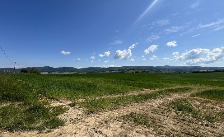Rovinaté pozemky 7700m2 Sása, Zvolen - fotografia 3