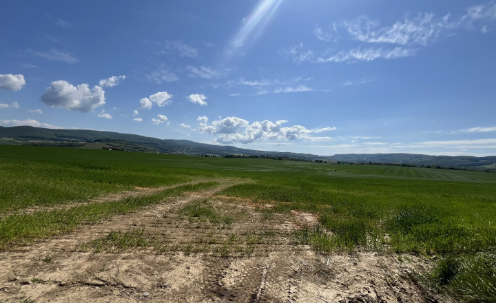 Rovinaté pozemky 7700m2 Sása, Zvolen - fotografia 4