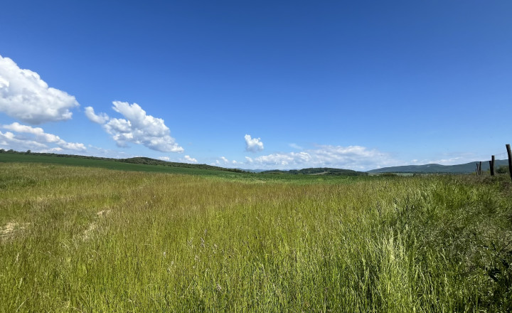 Rovinaté pozemky 7700m2 Sása, Zvolen - fotografia 5