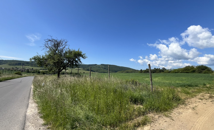 Rovinaté pozemky 7700m2 Sása, Zvolen - fotografia 7
