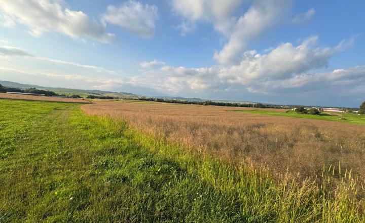 Na predaj pozemok Námestovo - Čerchle - 1 013 m2