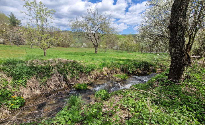 Investičný objekt s potenciálom ubytovania/Rejdová-NA PREDAJ - fotografia 22
