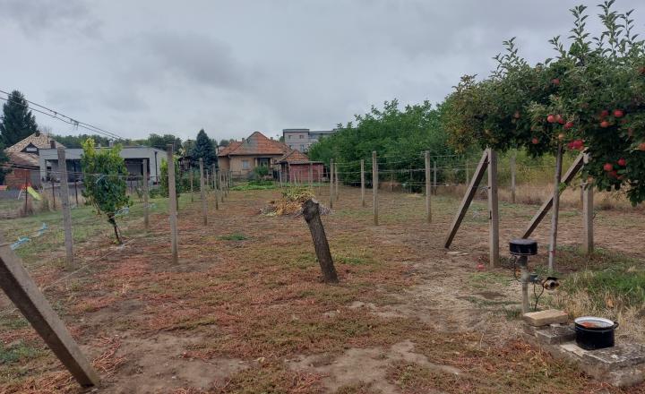 Predaj rodinný dom, veľký pozemok, obec Veľký Kýr  (1069-12-RP) - fotografia 15