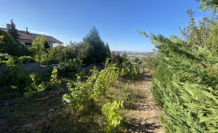 REZERVOVANÉ Pozemok Nitra ZOBOR 694 m2 636-14-MIG - fotografia 5