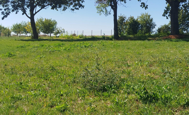 STAVEBNÉ POZEMKY V BELADICIACH – NOVÁ LOKALITA PRE VAŠE BÝVANIE - fotografia 5