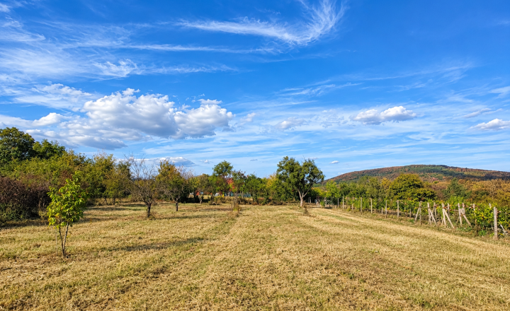 PREDAJ, POZEMOK V REKREAČNEJ OBLASTI RYBNÍK – 860 m² (066-14-SIHA)