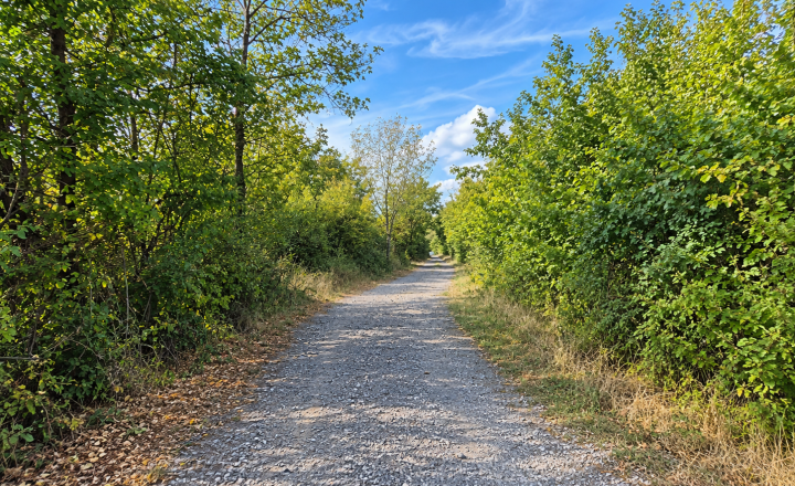 PREDAJ, POZEMOK V REKREAČNEJ OBLASTI RYBNÍK – 860 m² (066-14-SIHA) - fotografia 1