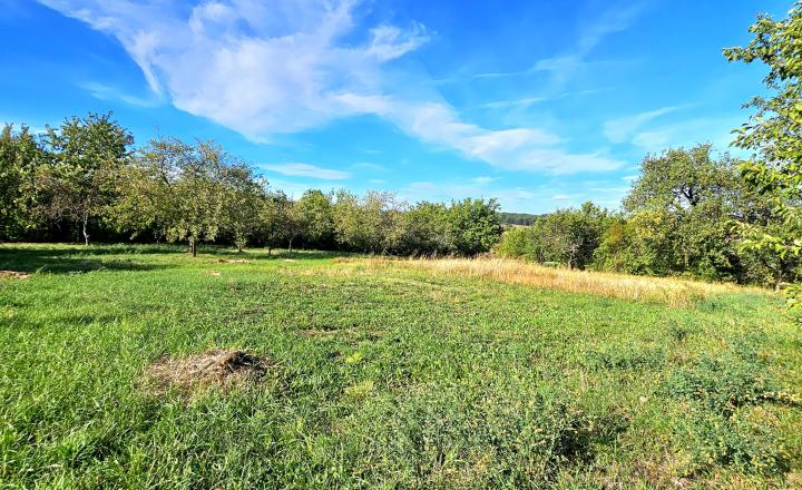 VIDEO- DOM SO ZÁHRADOU 3147m² V ZACHAROVCIACH - NA PREDAJ - fotografia 18