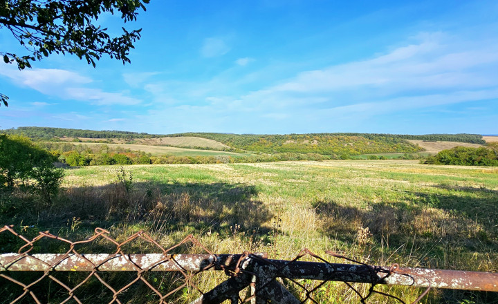 VIDEO- DOM SO ZÁHRADOU 3147m² V ZACHAROVCIACH - NA PREDAJ - fotografia 19