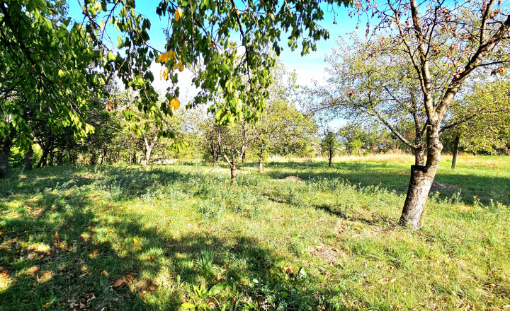 VIDEO- DOM SO ZÁHRADOU 3147m² V ZACHAROVCIACH - NA PREDAJ - fotografia 26