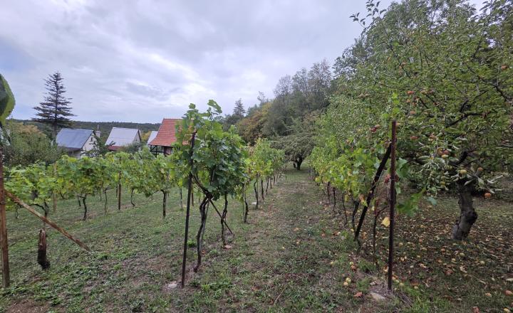 Chata s veľkým pozemkom a úžasným výhľadom – Čachtice - fotografia 13