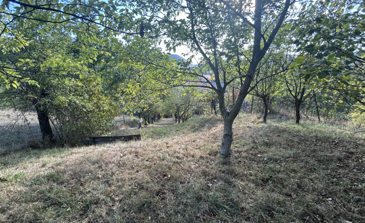 Predaj, rekreačná chata so záhradou - Tekovská Breznica (125-13-MIJK) - fotografia 10