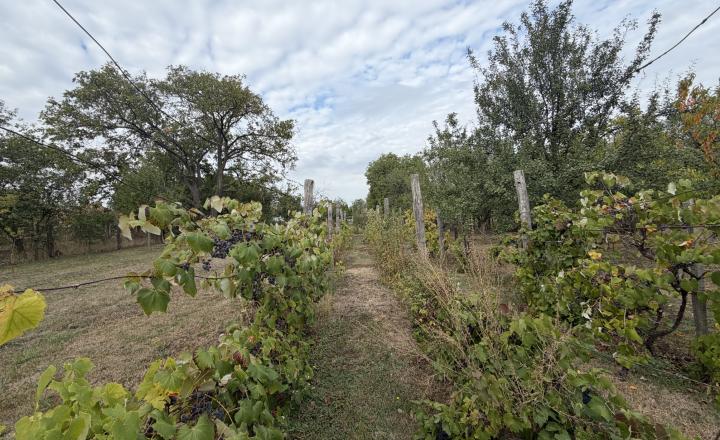 Rodinný dom v obci Méra , Maďarsko za  95000,-Eur - fotografia 20