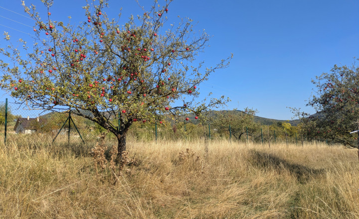 Predaj, rozľahlý pozemok - Nová Baňa (1269-14-AFI) - fotografia 3