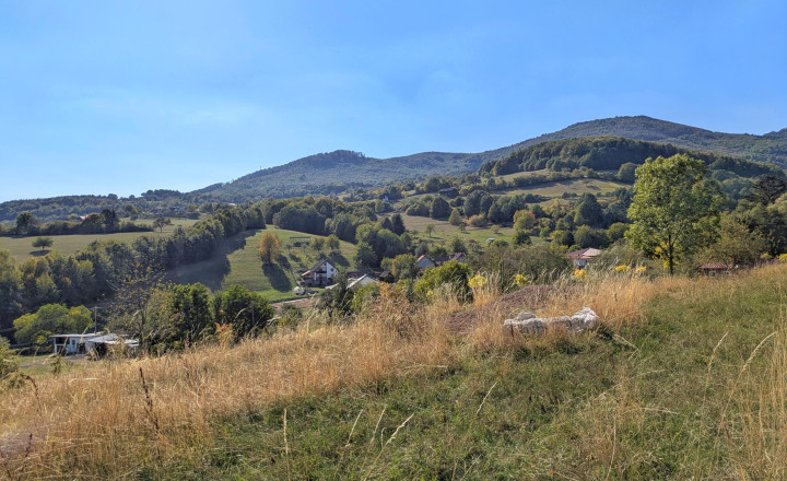 Predaj, rozľahlý pozemok - Nová Baňa (1269-14-AFI)
