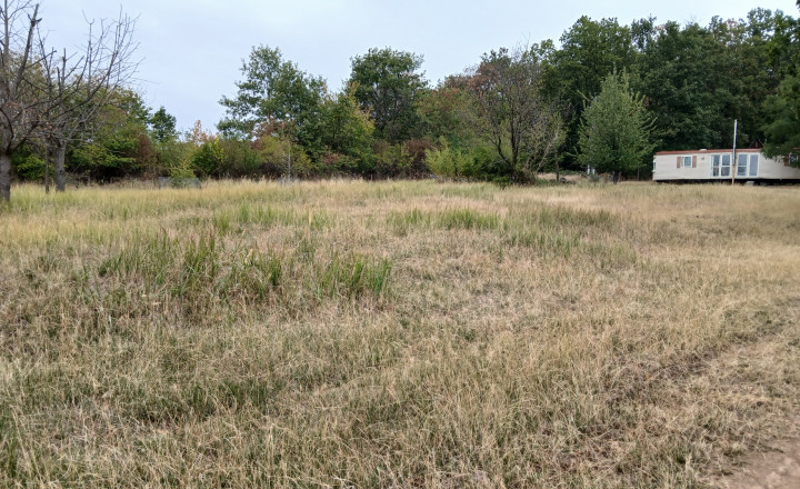 Krásny, veľký pozemok 10 000 m2 s mobilným domom, vinicou a ovocným sadom - Kozárovce (037-14-MIMI) - fotografia 1