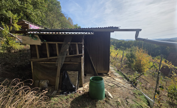 Slnečná vinica a záhrada s chatkou Stará Tura Dubnik - fotografia 1