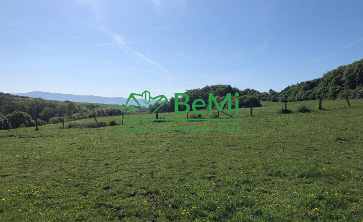 Predaj pozemkov – orná pôda 5 823 m² Bzince pod Javorinou - fotografia 3