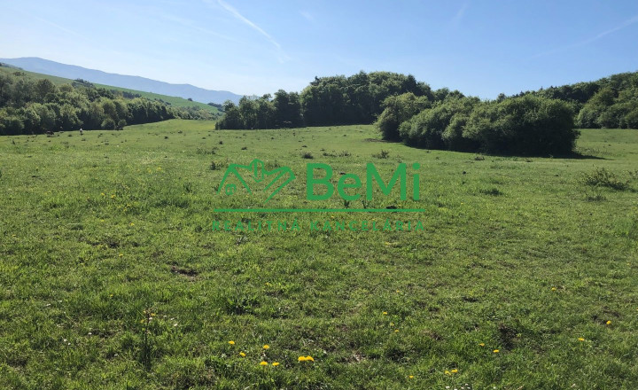 Predaj pozemkov – orná pôda 5 823 m² Bzince pod Javorinou - fotografia 4