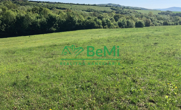 Predaj pozemkov – orná pôda 5 823 m² Bzince pod Javorinou - fotografia 7