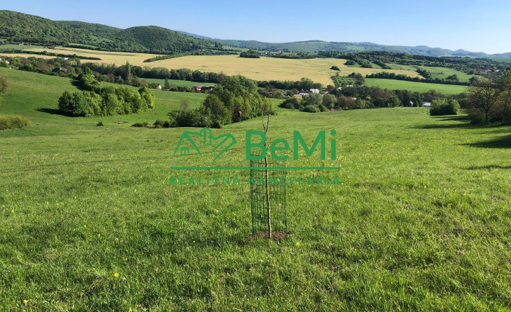 Predaj pozemkov – orná pôda 5 823 m² Bzince pod Javorinou - fotografia 8