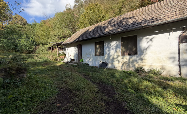 Útulná chata so záhradou  v Rožňave, obec Nadabula-PREDAJ - fotografia 19