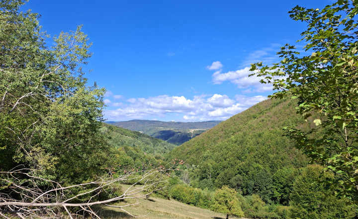 Predaj, pozemok ,Píla okres Žarnovica, (045-14-ZOLA)