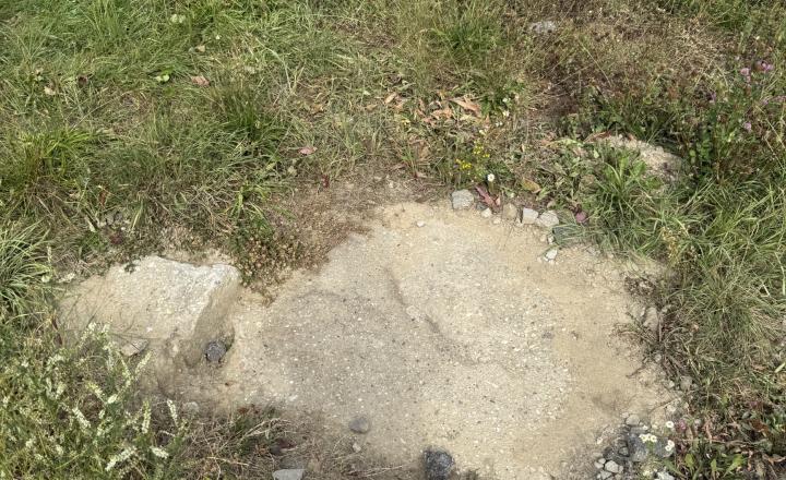 Slnečný stavebný pozemok v Bardejovskej Novej Vsi na predaj - fotografia 2