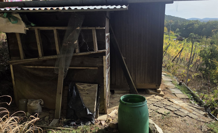 Slnečná vinica a záhrada s chatkou Stará Tura Dubnik - fotografia 2