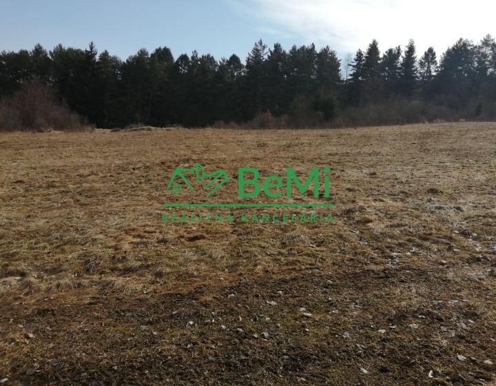 Predaj, pozemok, 3667 m2, Petrovice (090-14-MACHa)