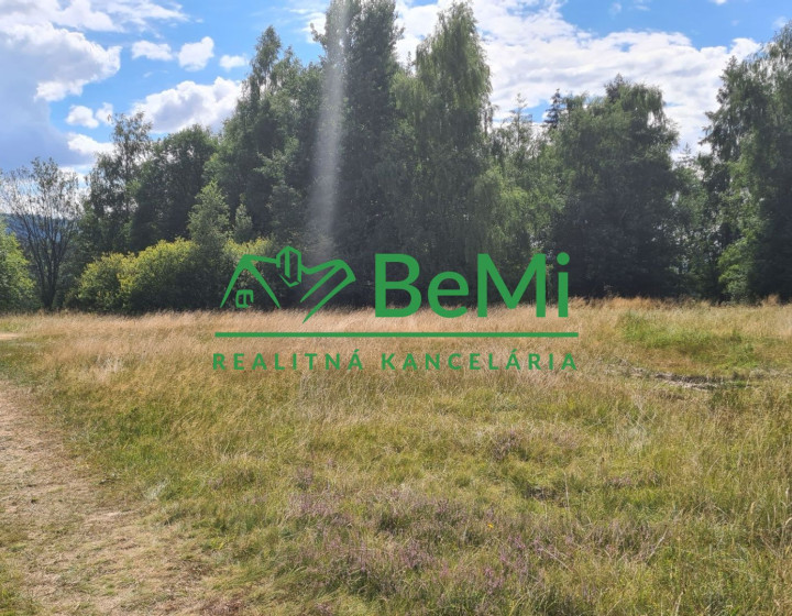 Predaj, pozemok na developerské účely, 9 938m2, Oščadnica (803-14-JAS)