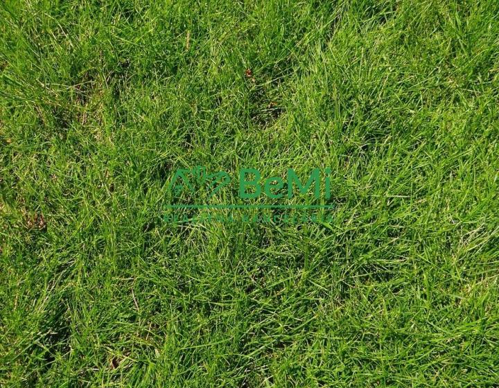 Predaj: pozemok, 1370m2, Štiavnik(101-14-MACHa)