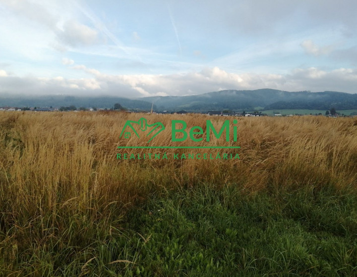 Predaj, investičný pozemok, Kotešová (205-14-MACHa)