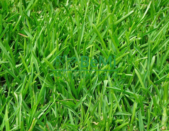 Predaj, pozemok, 2200m2, Stránske, okr. Žilina (093-14-MACHa)